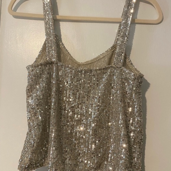 Zara sparkly sequin, linen lined inseam. Small, perfect condition. Glam,… - Picture 2 of 6